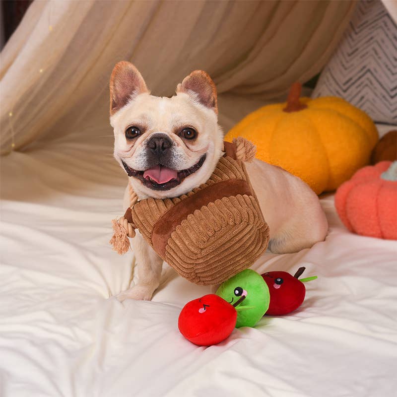 Autumn Tailz | Apple Basket -Interactive Toy