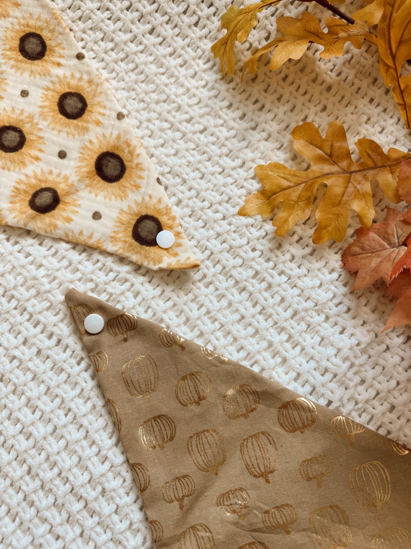 PUMPKIN PATCH - COTTON