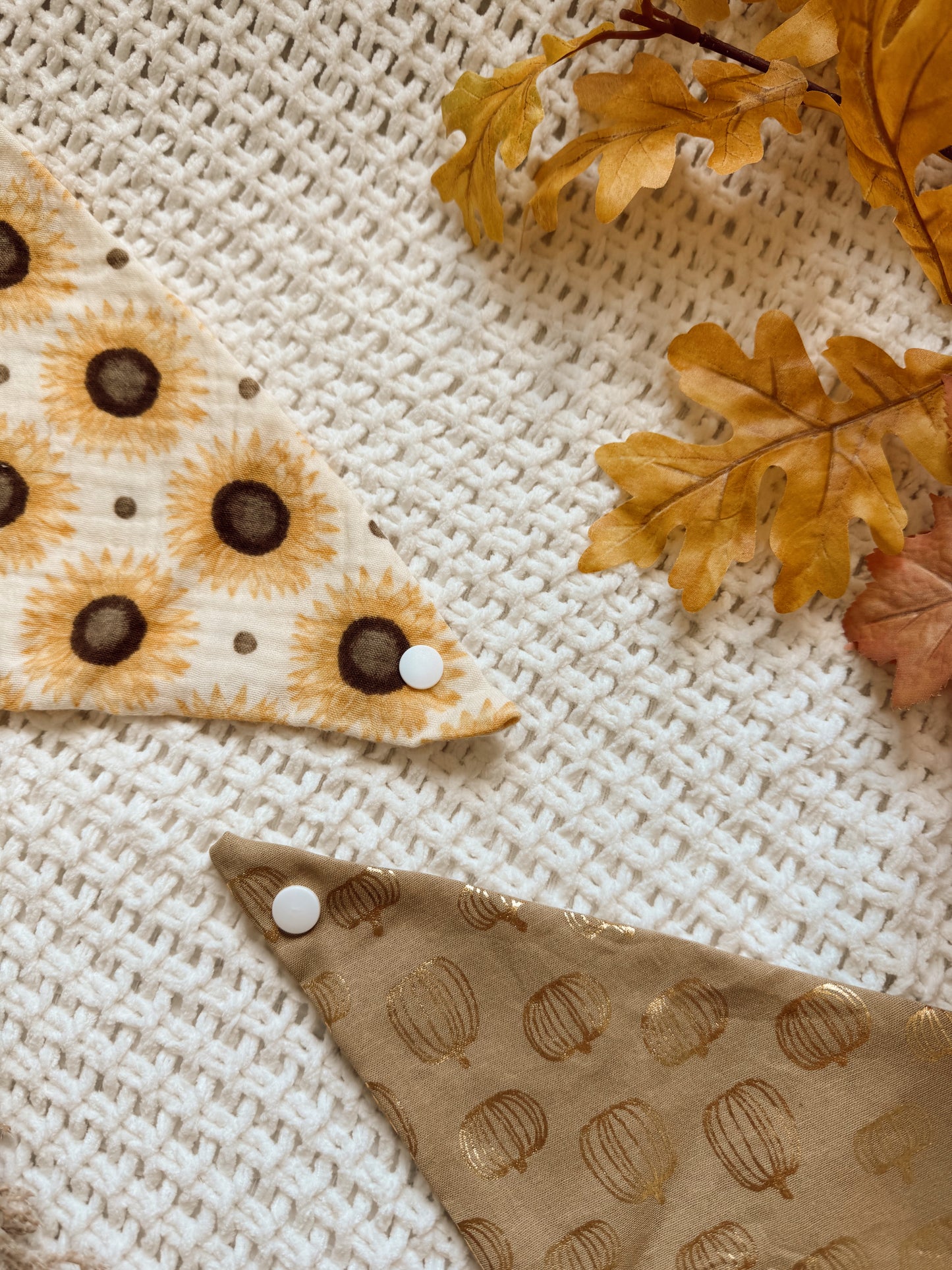 PUMPKIN PATCH - COTTON