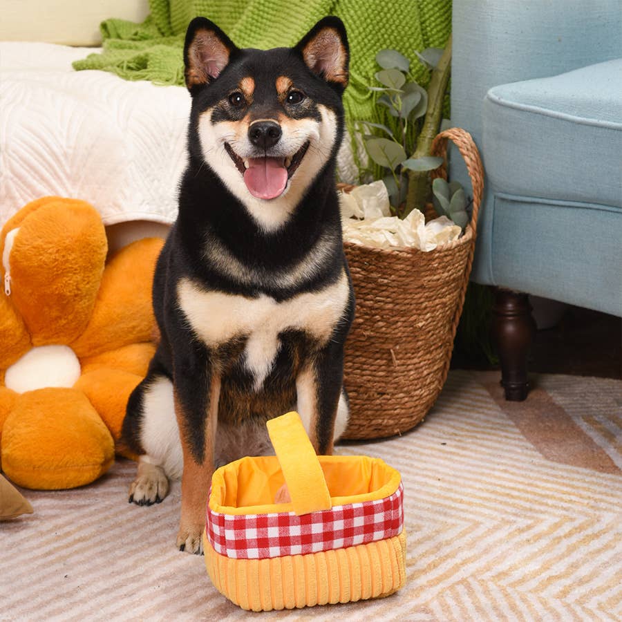 Picnic Time | Picnic Basket - Interactive Toy