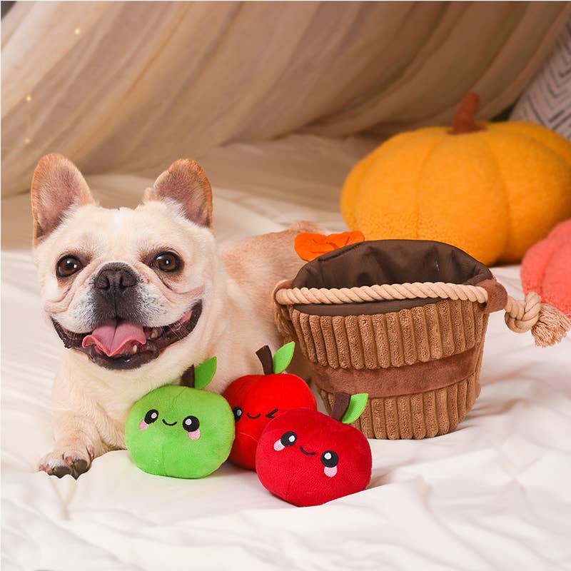 Autumn Tailz | Apple Basket -Interactive Toy