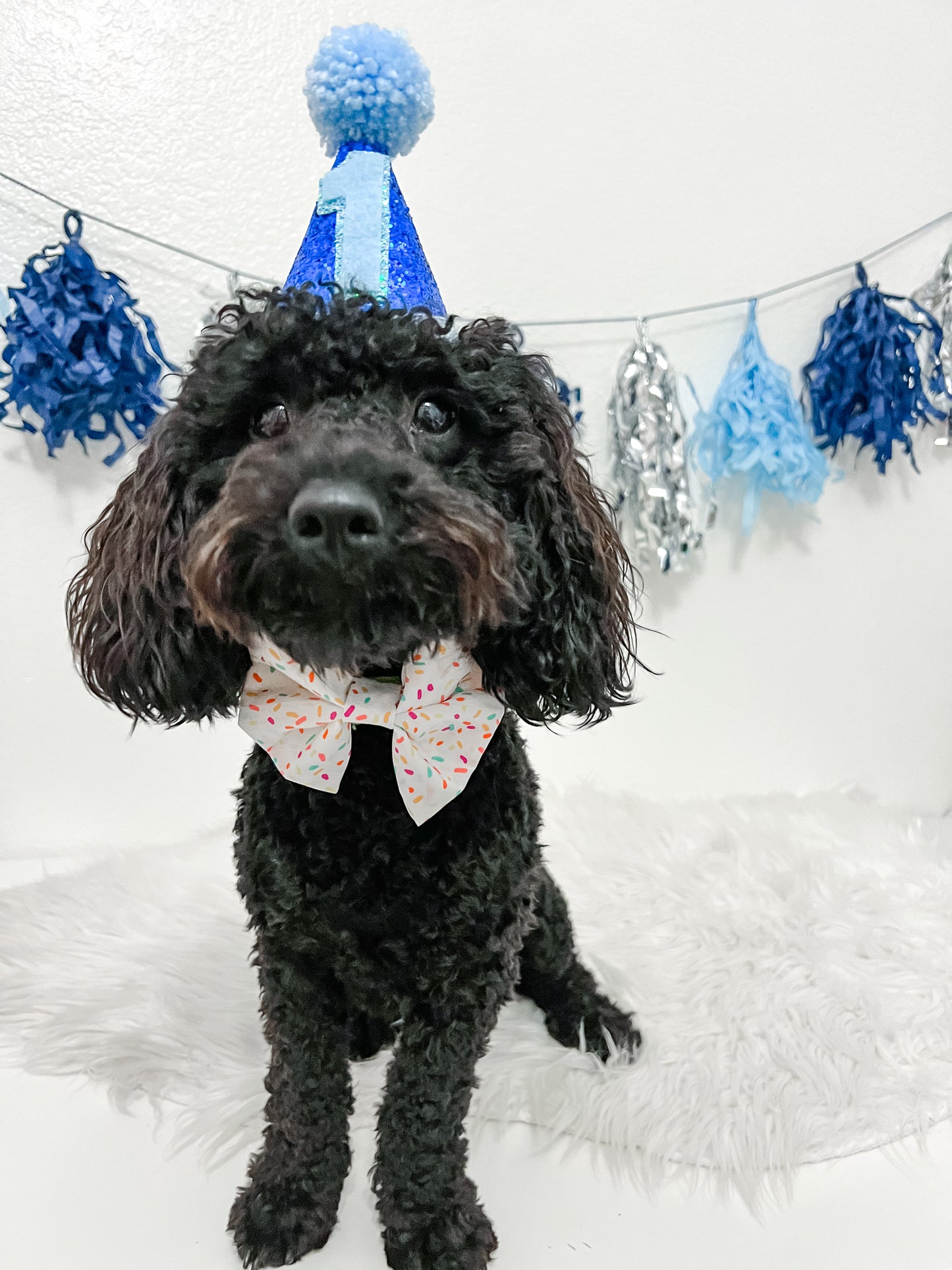 LETS PAWTY BOWTIE