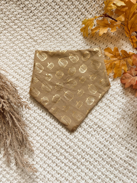 PUMPKIN PATCH - COTTON