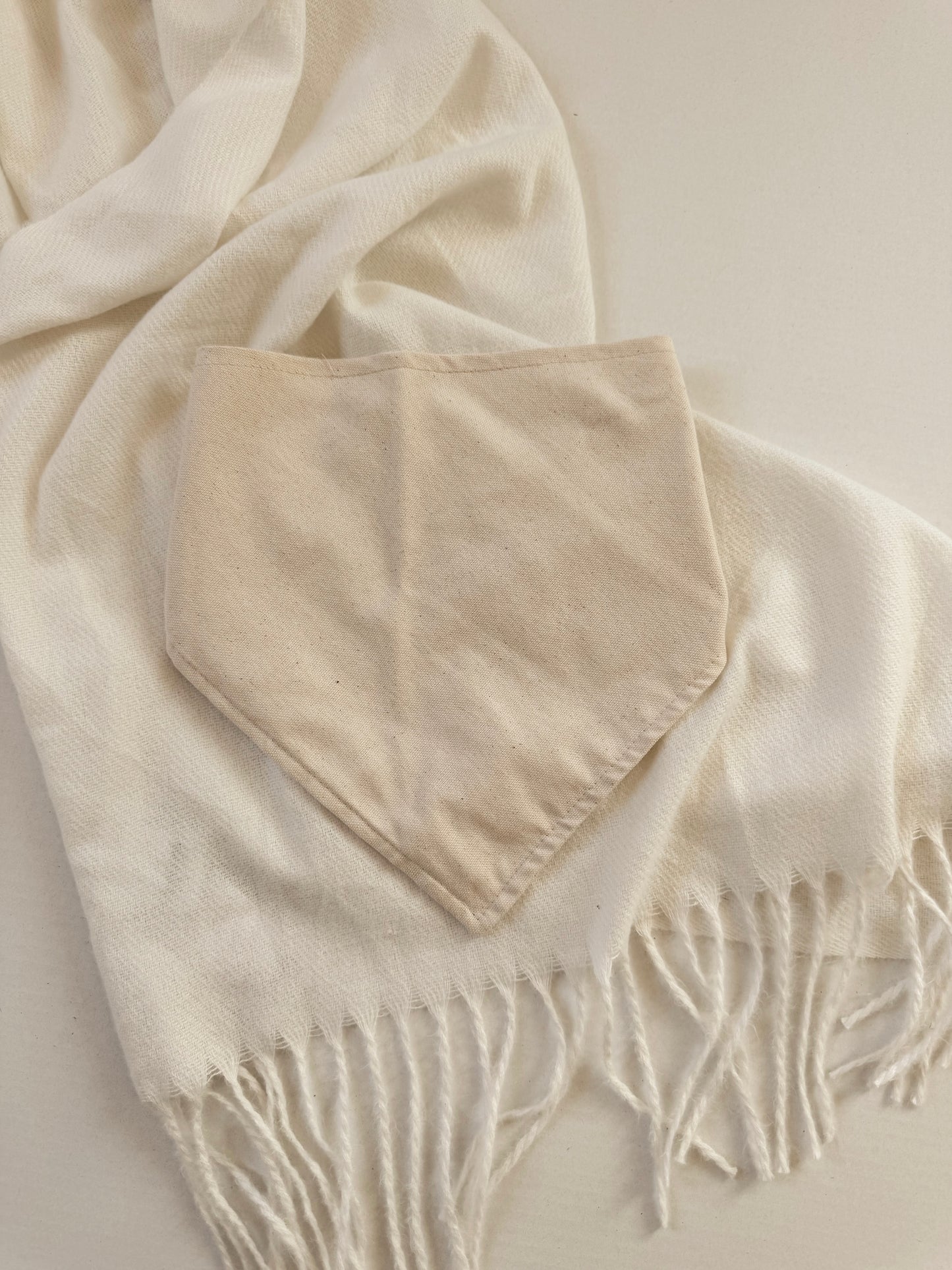 NEUTRAL CANVAS - CANVAS