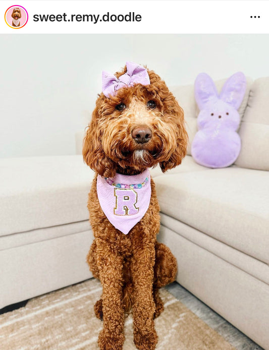 PURPLE SHERPA LETTER PATCH ADD ON