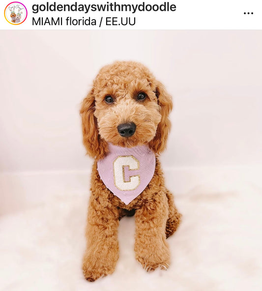 WHITE SHERPA LETTER PATCH ADD ON